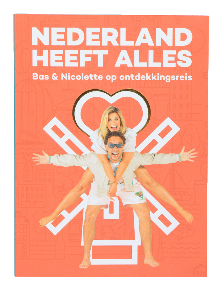 Over het boek